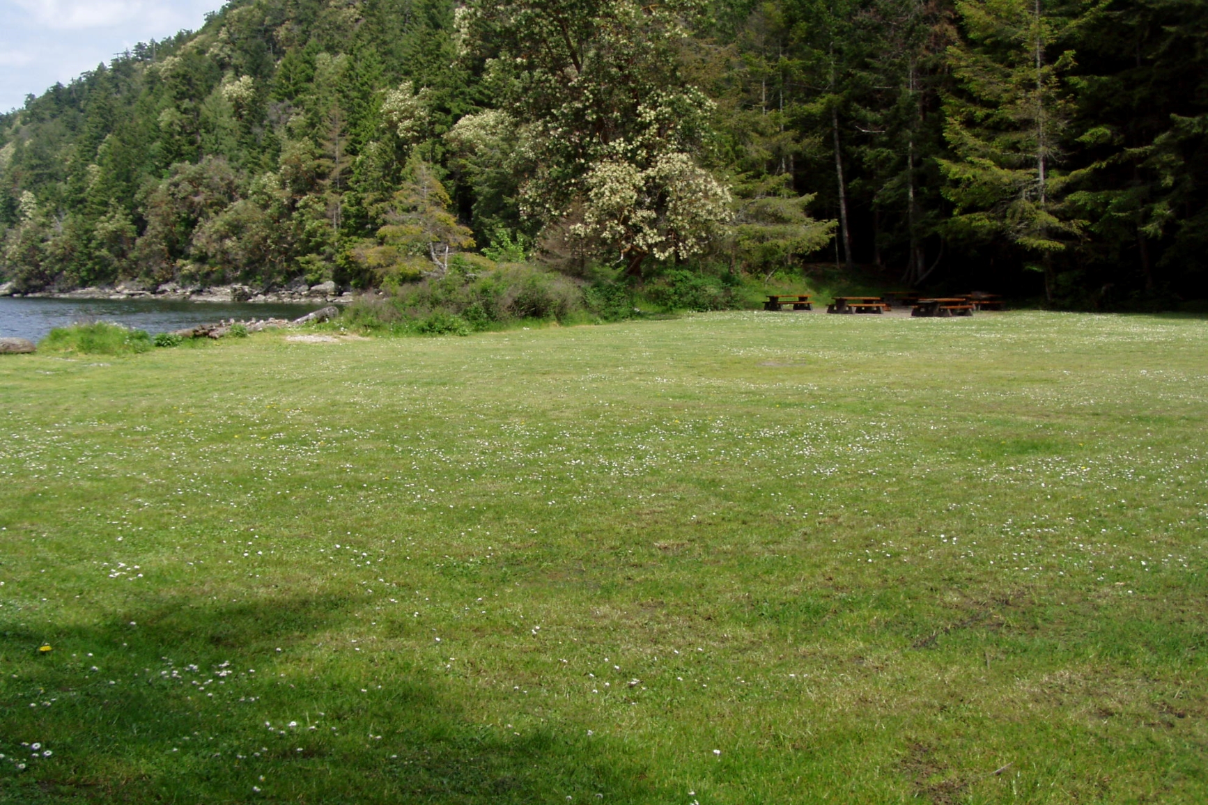 View of grassy area and picnic tables