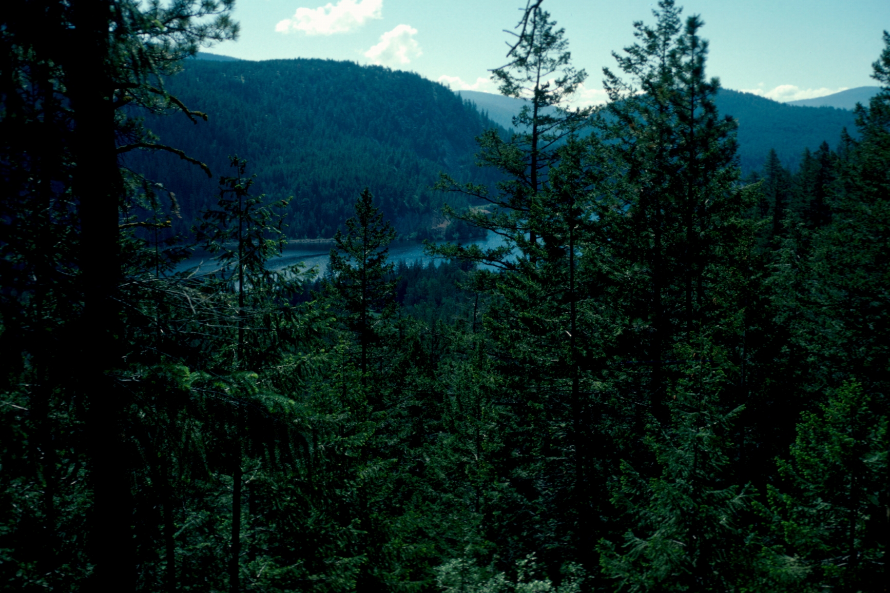 Otter Lake, from the upland of Otter Lake Park