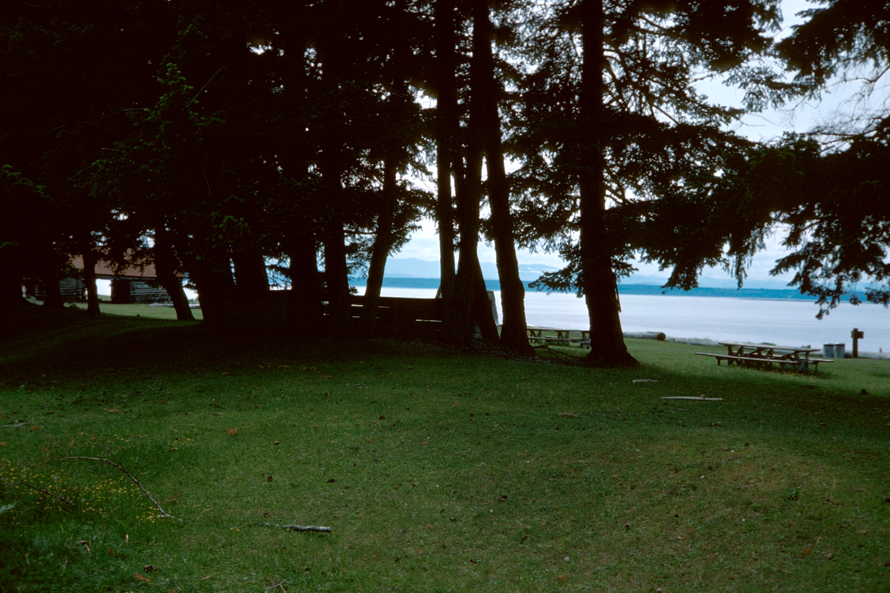 Campsite in Smelt Bay Provincial Park