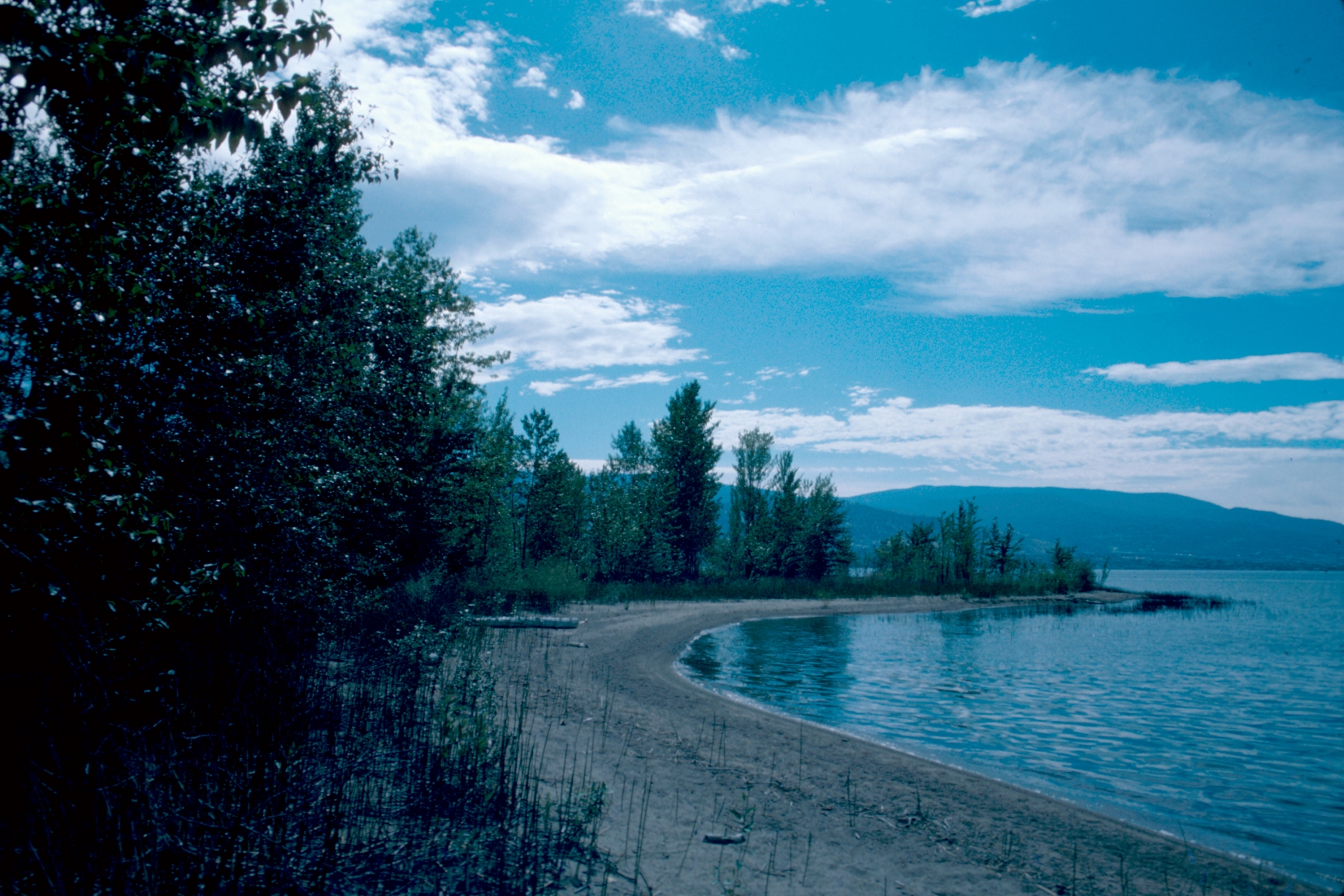 Lakeshore of Okanagan Lake