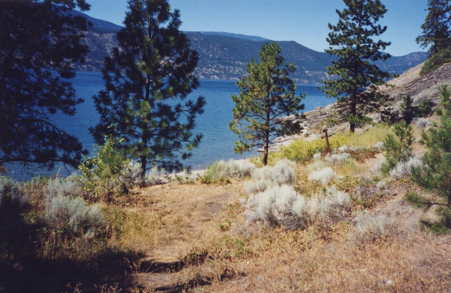 View from Okanagan Mountain showing vegetation; Okanagan Lake in the background
