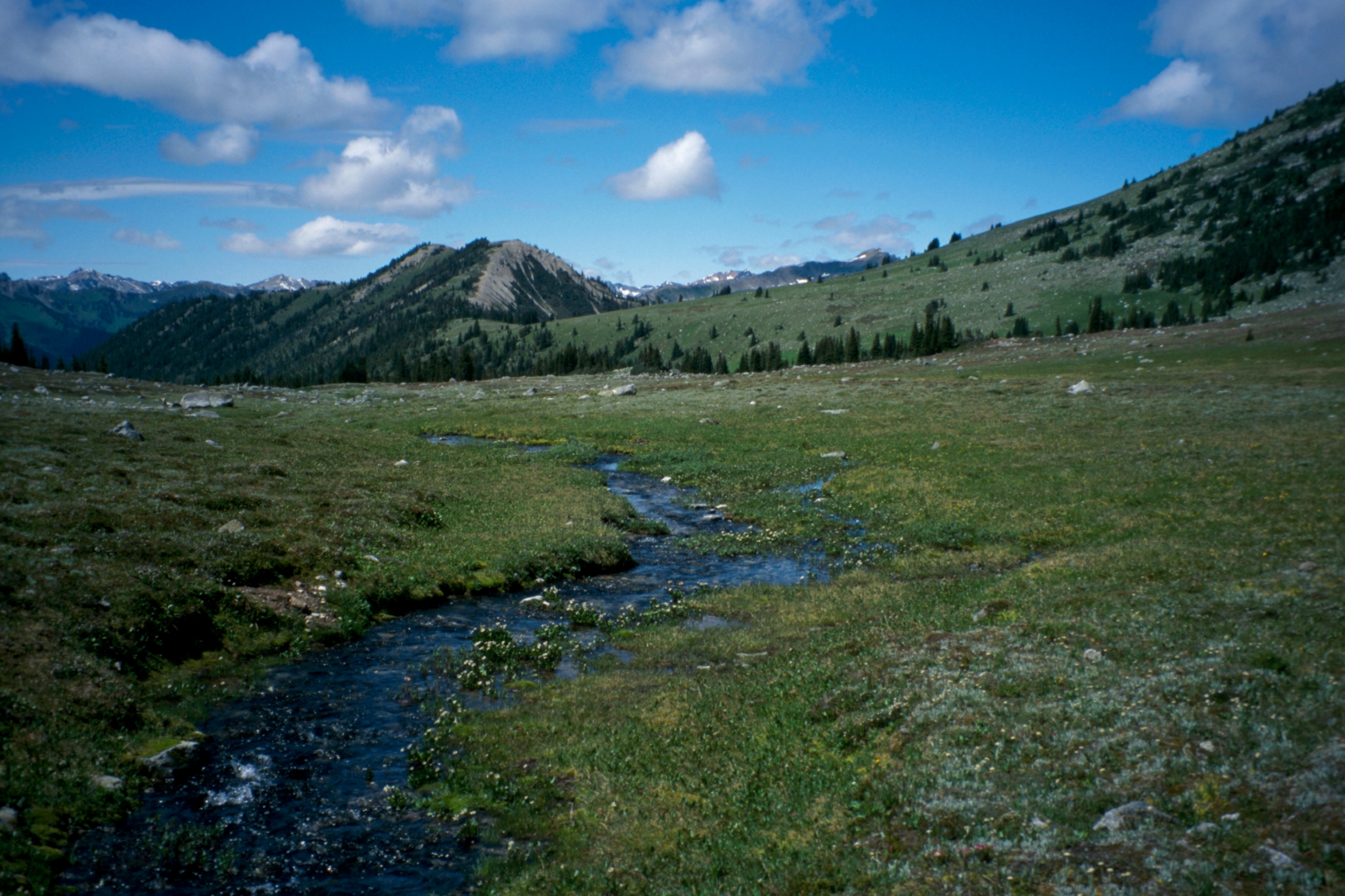 Stein Valley scenery