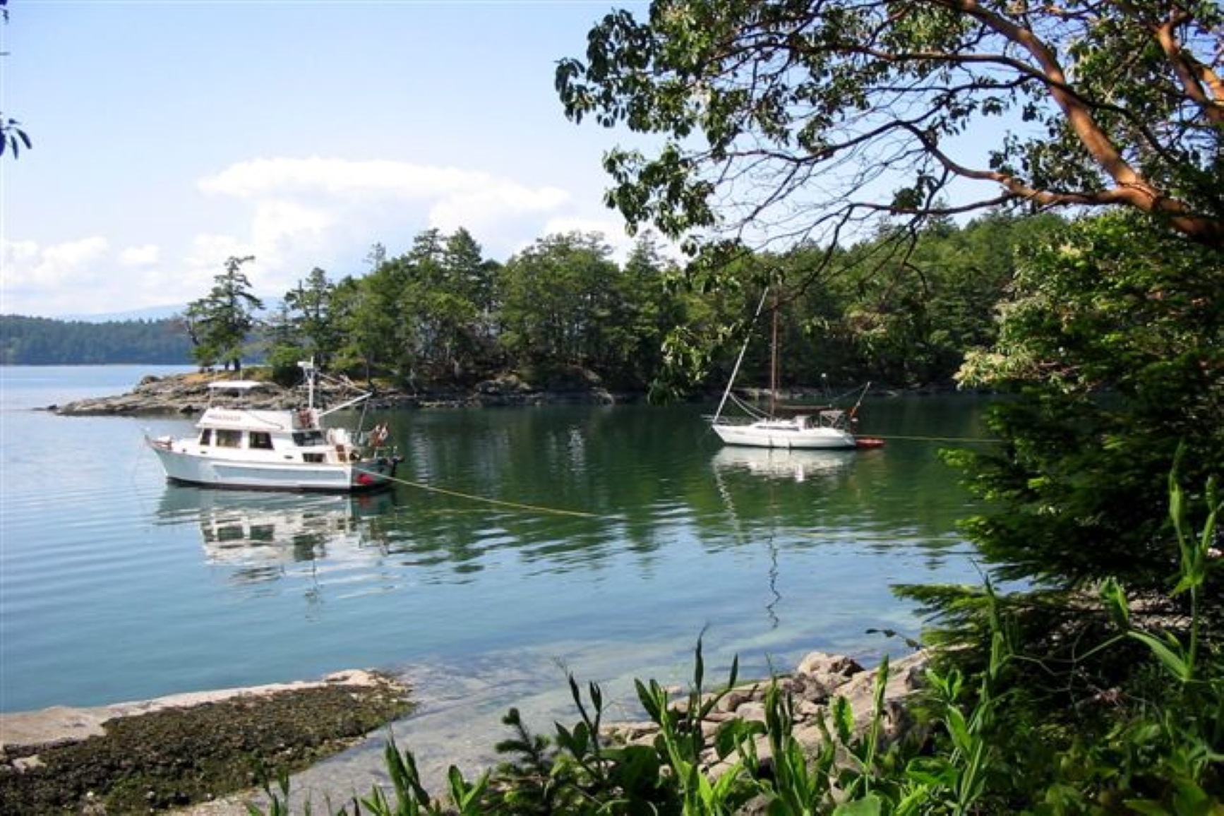 The lake shore with two boats docked nearby.