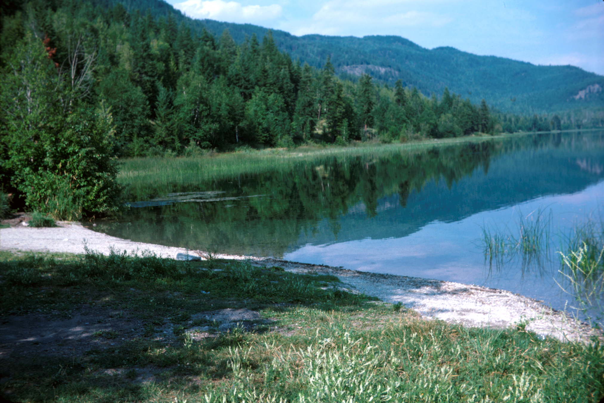 View of White Lake with forest and mountains in the surrounding distance.