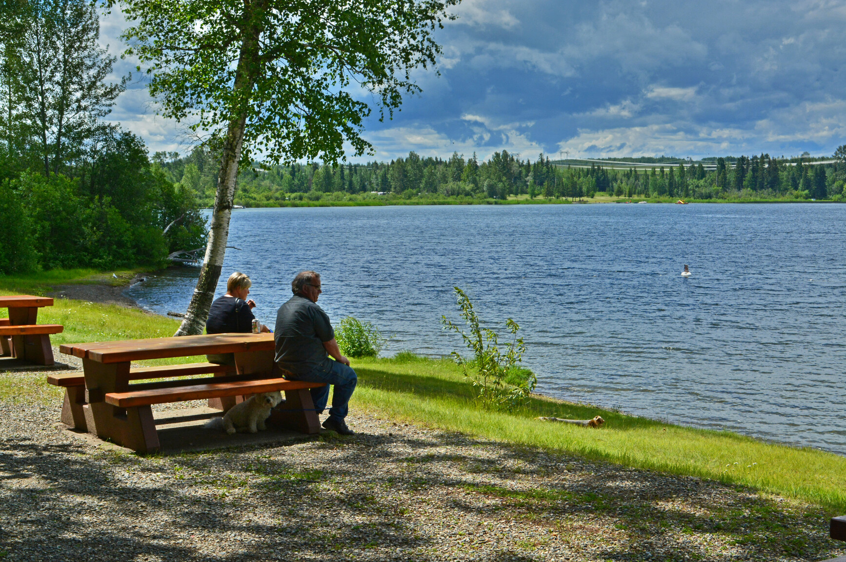 Seated at a picnic table are park visitors looking at the view across the lake.