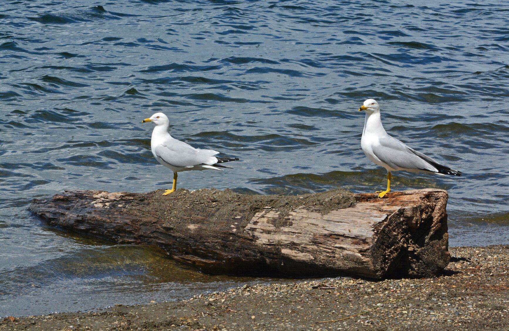 Ten Mile Lake Park