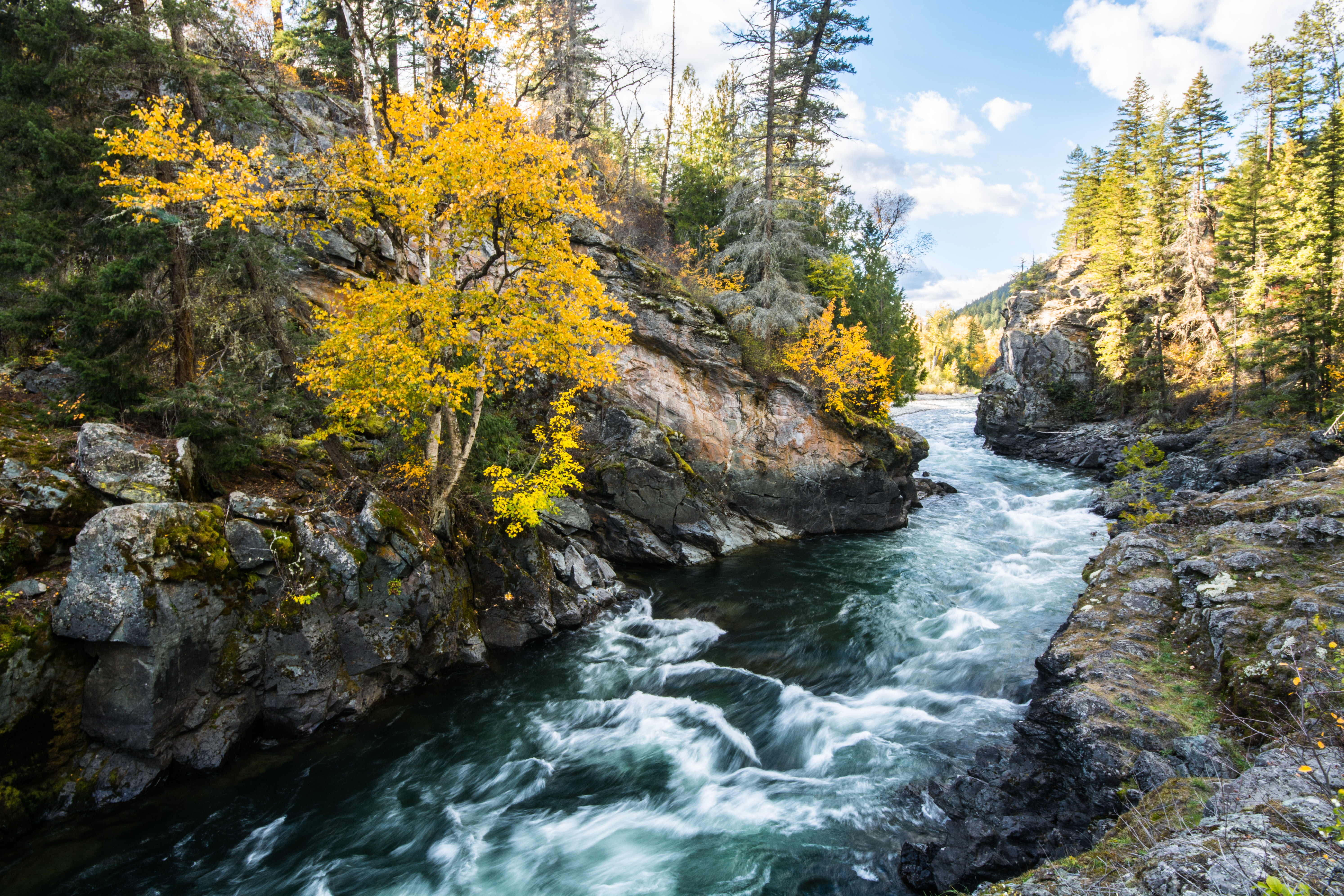 Fast flowing river surrounded by vibrant yellow trees and rocky cliffs.