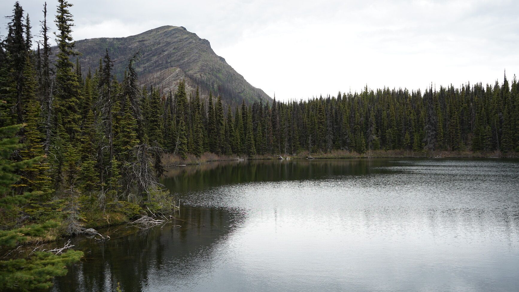 A lake along the Battleship Mountain Trail. Klinse-za Park / Twin Sisters Park.