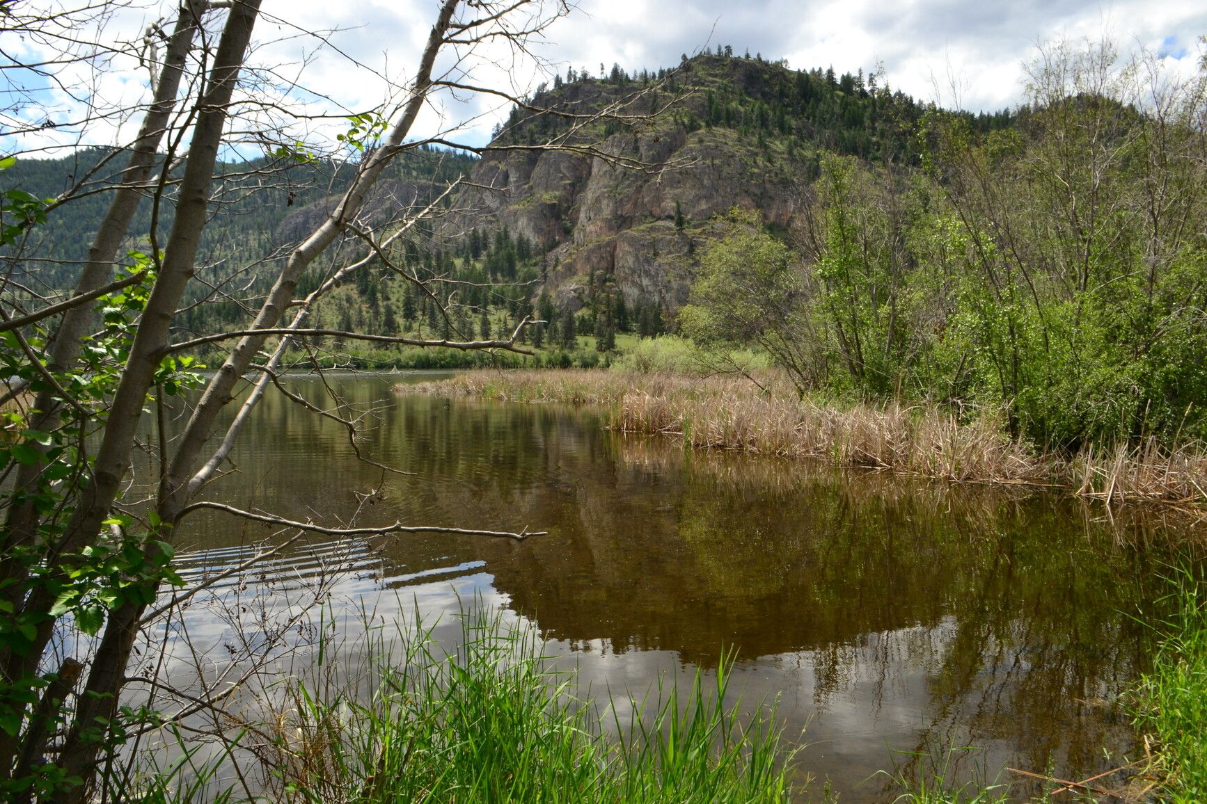 Vaseux Lake offers fishing opportunities for largemouth bass, rainbow trout, and carp.
