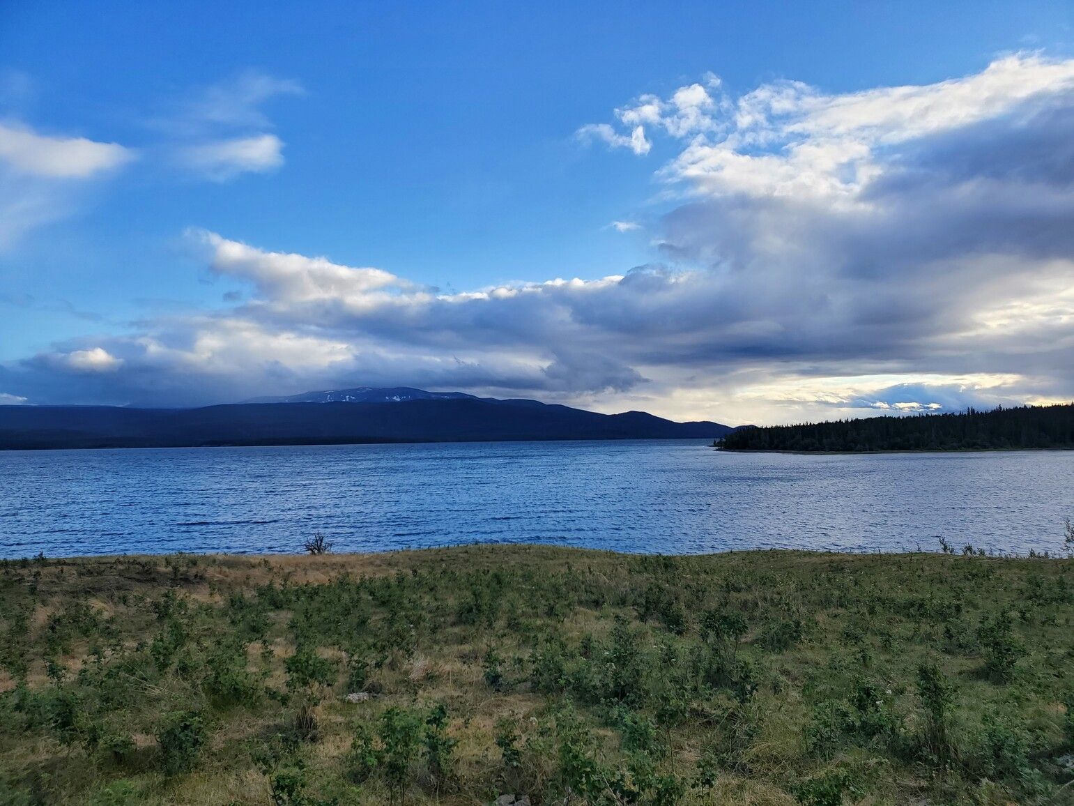 Wistaria shoreline overlooking Ootsa Lake with the Quanchus Mountains in the background.